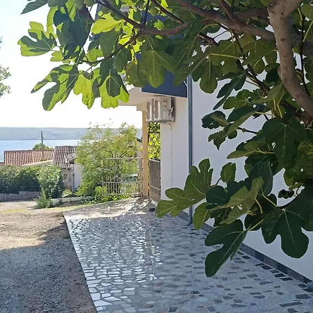 Stunning In With Wifi Appartement